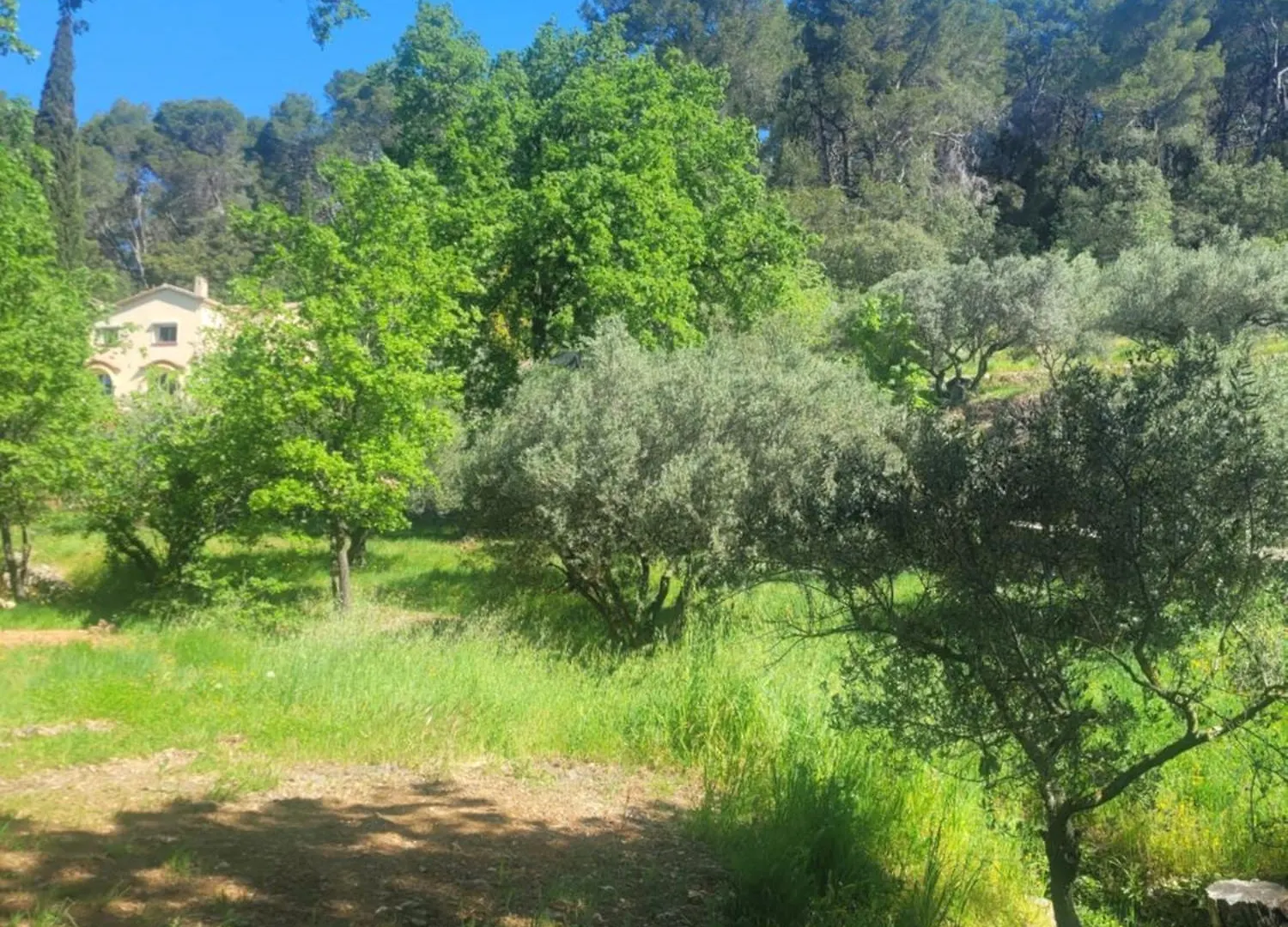 Le Mas Les Salamandres Lorgues Bed & Breakfast