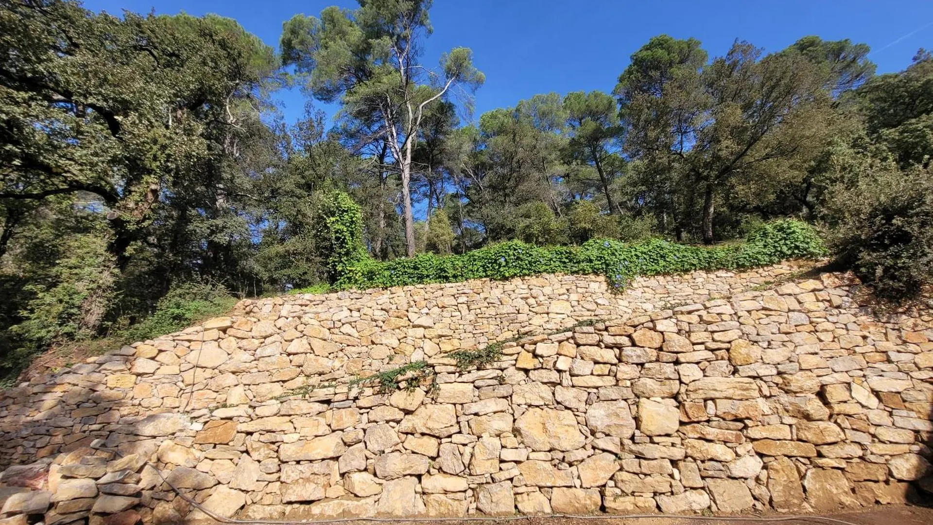 Bed & Breakfast Le Mas Les Salamandres Lorgues