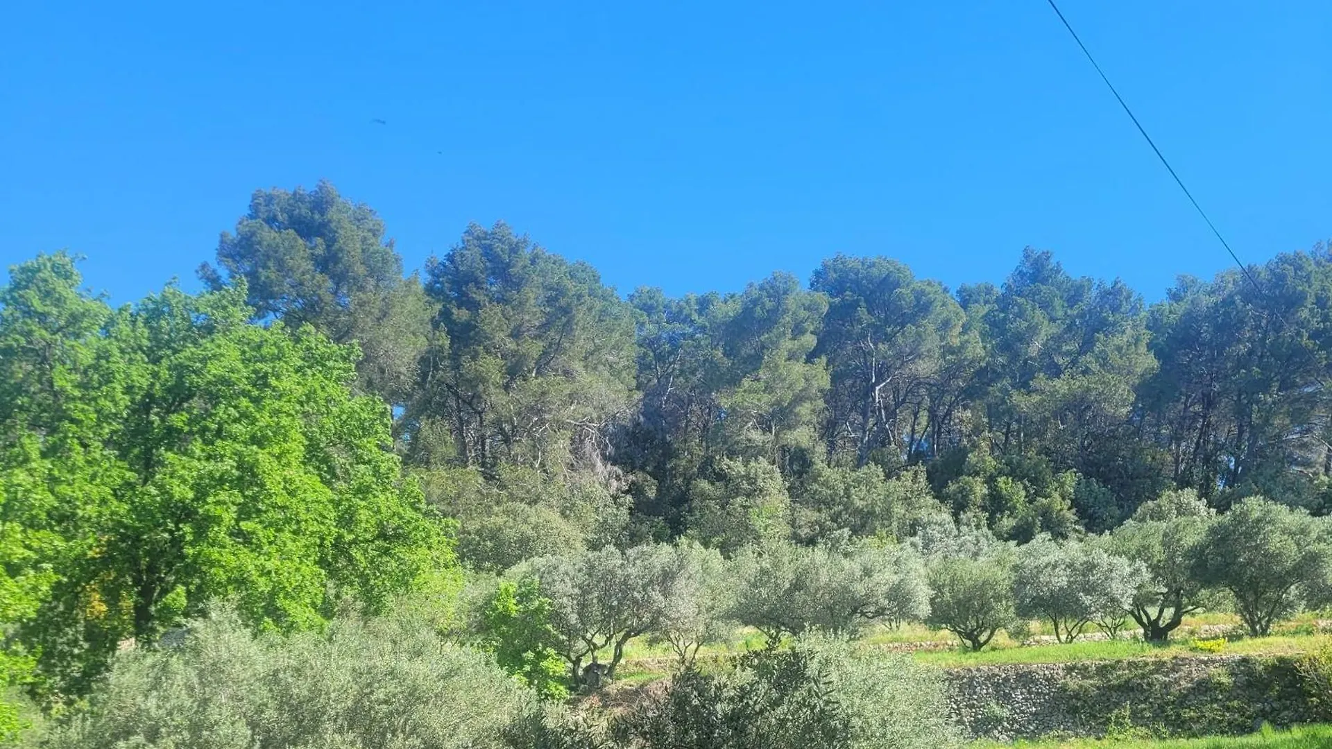 Le Mas Les Salamandres Lorgues France